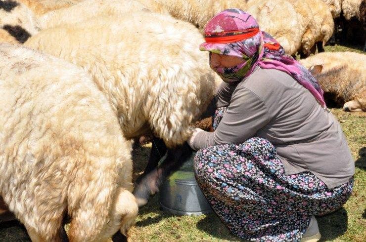 98. sayfanın 1. resmi