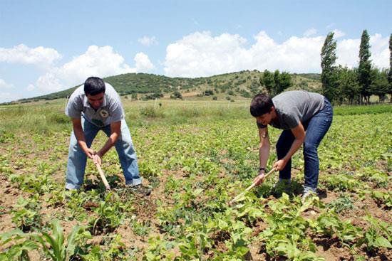 45. sayfanın 1. resmi