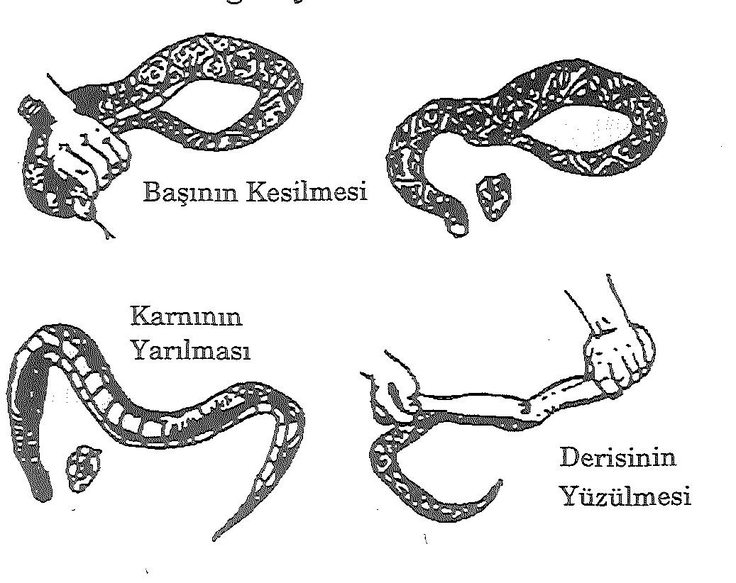 326. sayfanın 1. resmi